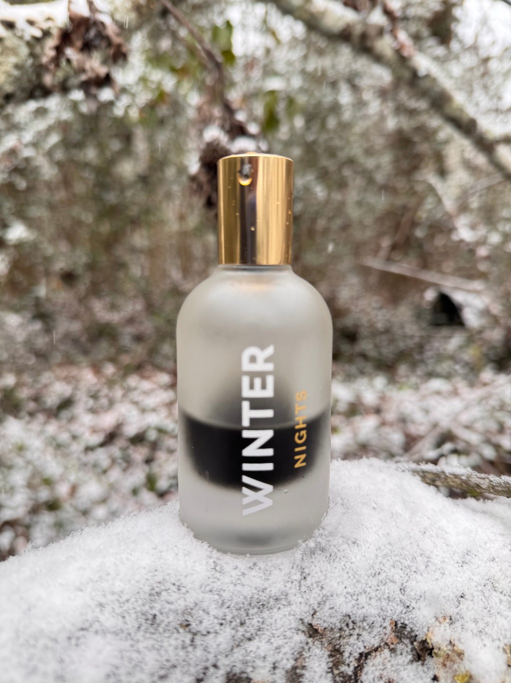 Dasein Winter Nights Review: A Festive&nbsp;Stunner